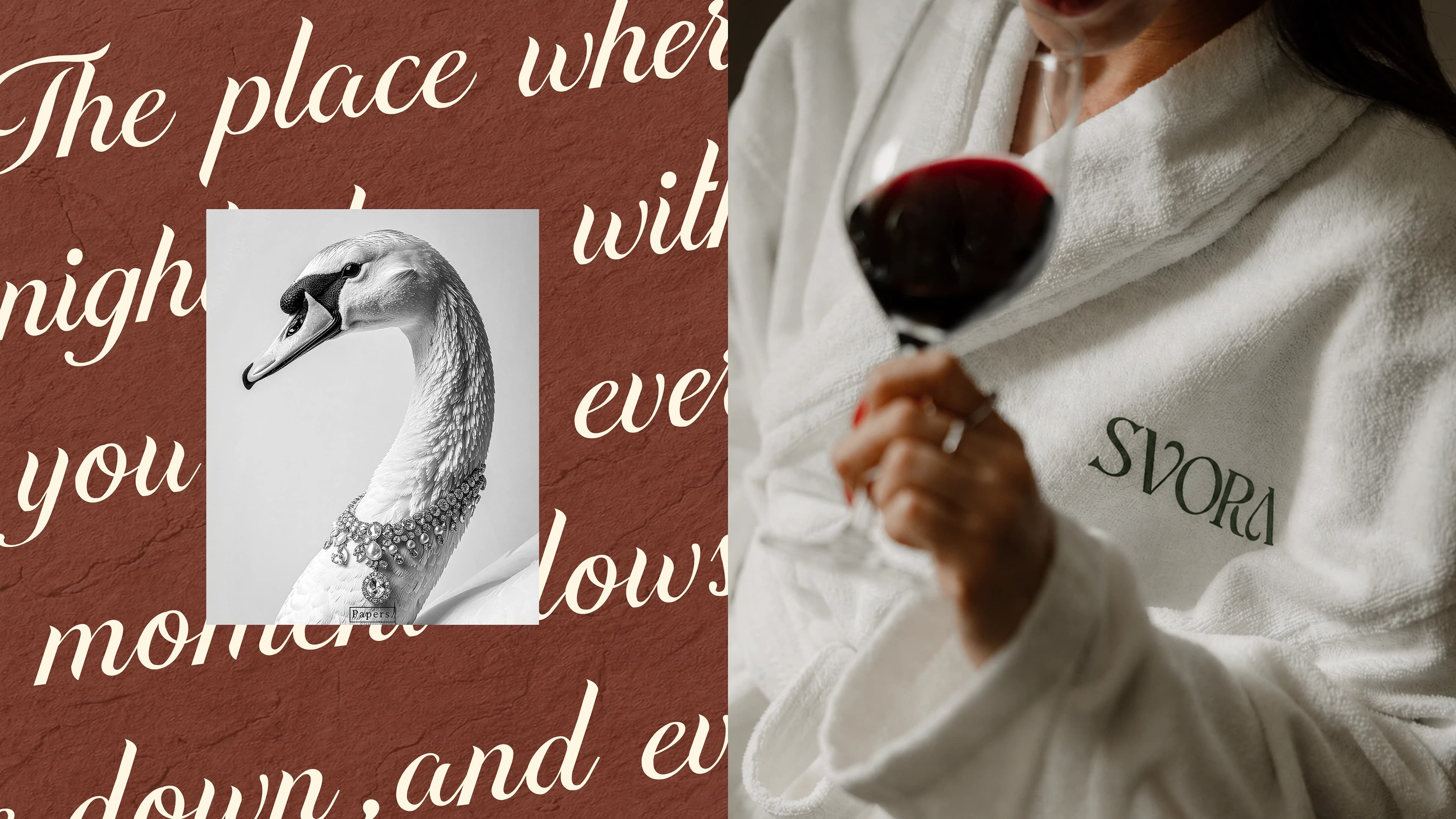 Svora branding y piezas